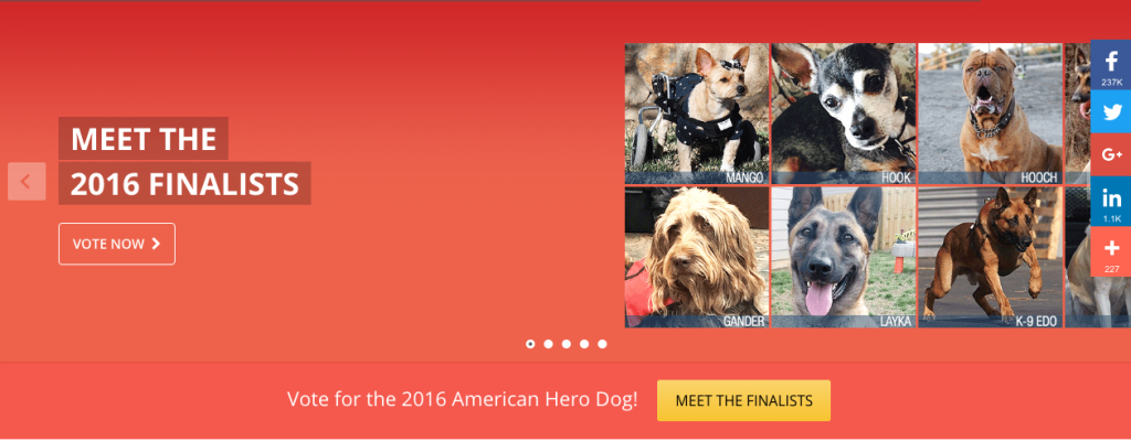 Screen Shot 2016-08-05 at 20.49.32